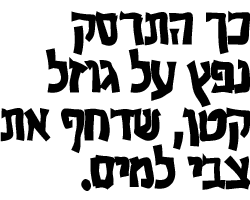 דוגמה של הפונט רון במשקל שמן